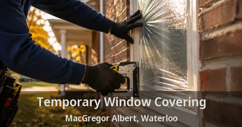 Temporary Window Covering MacGregor Albert, Waterloo - ON
