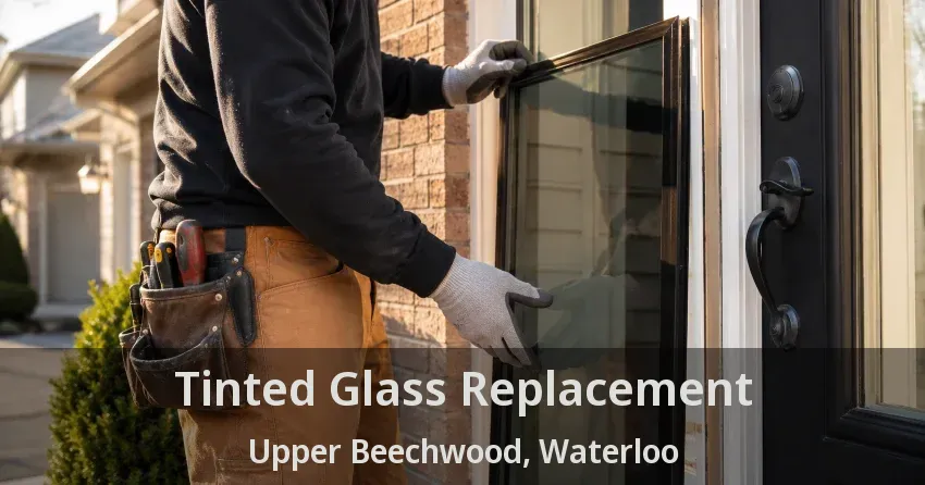 Tinted Glass Replacement Upper Beechwood, Waterloo - ON